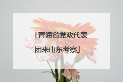 青海省党政代表团来山东考察