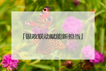 银政联动赋能新担当