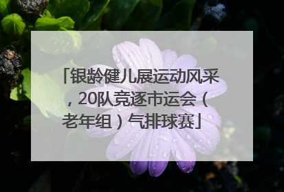 银龄健儿展运动风采，20队竞逐市运会（老年组）气排球赛