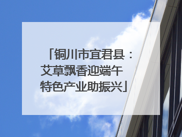 铜川市宜君县：艾草飘香迎端午 特色产业助振兴