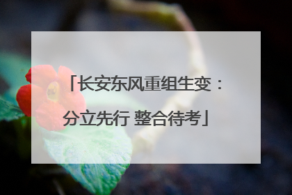 长安东风重组生变：分立先行 整合待考