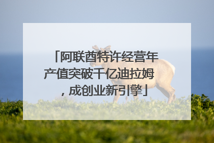 阿联酋特许经营年产值突破千亿迪拉姆，成创业新引擎