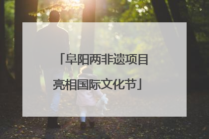 阜阳两非遗项目亮相国际文化节