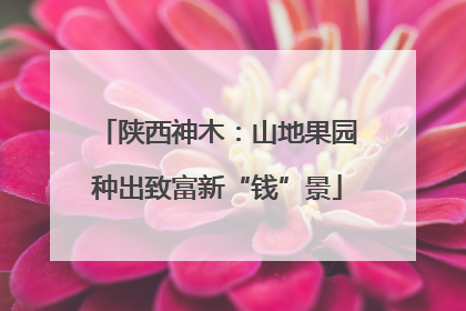 陕西神木：山地果园种出致富新“钱”景