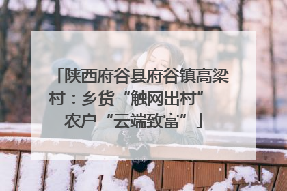 陕西府谷县府谷镇高梁村：乡货“触网出村” 农户“云端致富”
