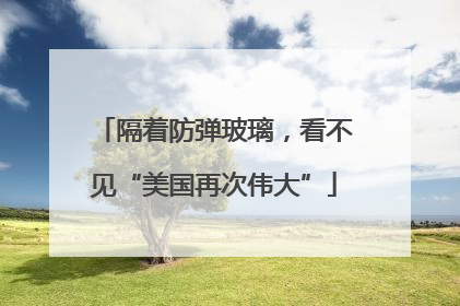 隔着防弹玻璃，看不见“美国再次伟大”