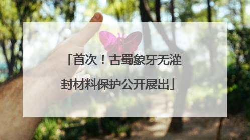首次！古蜀象牙无灌封材料保护公开展出