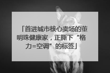 首进城市核心卖场的董明珠健康家，正撕下“格力=空调”的标签