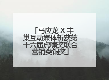 马应龙 X 丰巢互动媒体斩获第十六届虎啸奖联合营销类铜奖