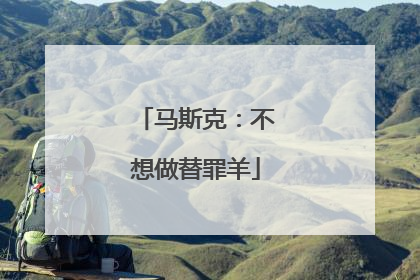 马斯克：不想做替罪羊
