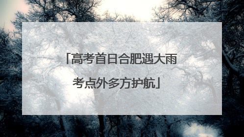 高考首日合肥遇大雨 考点外多方护航
