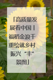 高质量发展看中国丨福稻金浪千重绘就乡村振兴“丰”景图