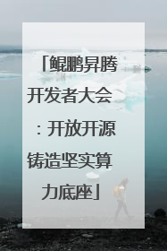 鲲鹏昇腾开发者大会：开放开源铸造坚实算力底座