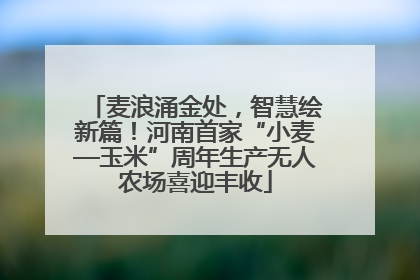 麦浪涌金处，智慧绘新篇！河南首家“小麦—玉米”周年生产无人农场喜迎丰收