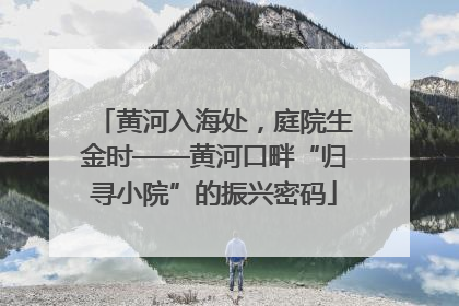 黄河入海处，庭院生金时——黄河口畔“归寻小院”的振兴密码