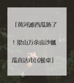 黄河滩西瓜熟了！梁山万余亩沙瓤瓜直达市民餐桌