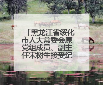 黑龙江省绥化市人大常委会原党组成员、副主任宋树生接受纪律审查和监察调查