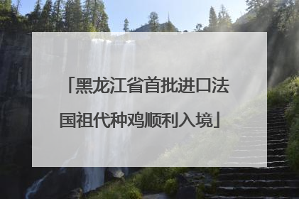 黑龙江省首批进口法国祖代种鸡顺利入境