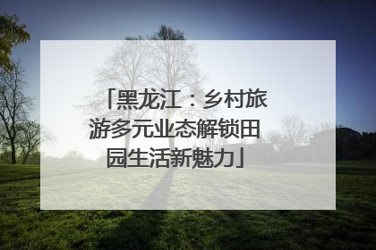 黑龙江：乡村旅游多元业态解锁田园生活新魅力