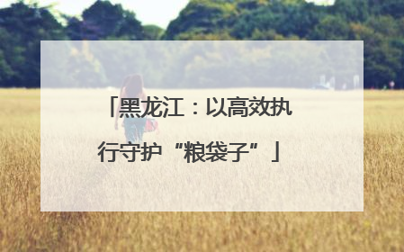 黑龙江：以高效执行守护“粮袋子”