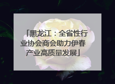 黑龙江：全省性行业协会商会助力伊春产业高质量发展