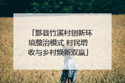 黟县竹溪村创新环境整治模式 村民增收与乡村焕新双赢