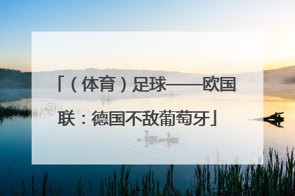（体育）足球——欧国联：德国不敌葡萄牙