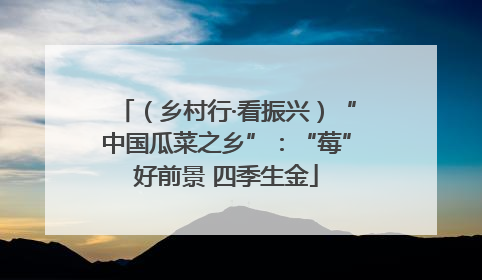 （乡村行·看振兴）“中国瓜菜之乡”：“莓”好前景 四季生金
