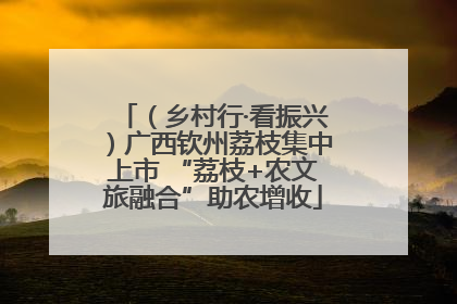 （乡村行·看振兴）广西钦州荔枝集中上市 “荔枝+农文旅融合”助农增收