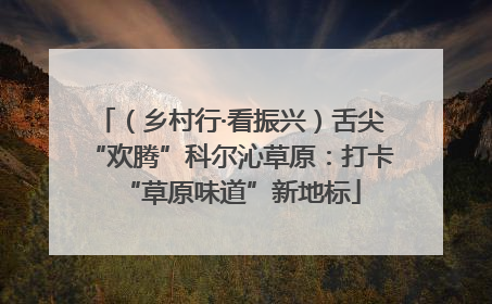 （乡村行·看振兴）舌尖“欢腾”科尔沁草原：打卡“草原味道”新地标
