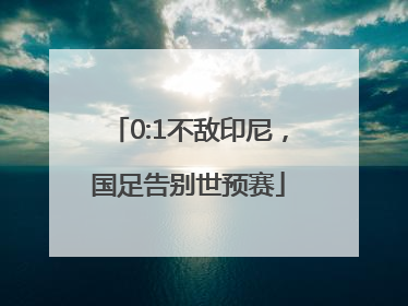 0:1不敌印尼，国足告别世预赛