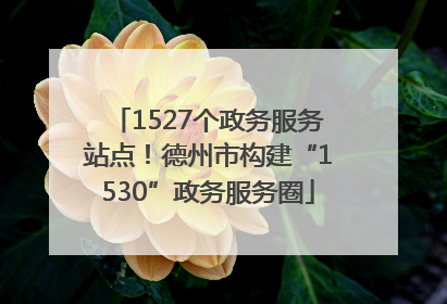 1527个政务服务站点！德州市构建“1530”政务服务圈