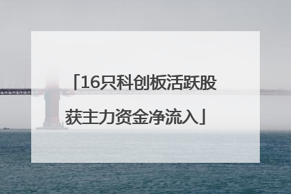 16只科创板活跃股获主力资金净流入
