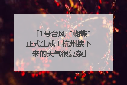 1号台风“蝴蝶”正式生成！杭州接下来的天气很复杂