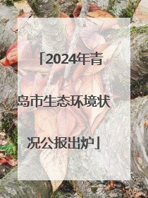 2024年青岛市生态环境状况公报出炉