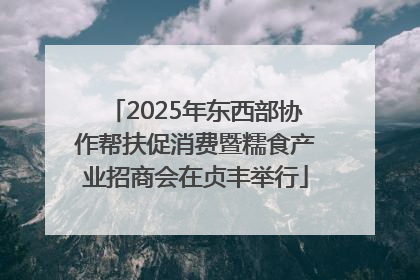 2025年东西部协作帮扶促消费暨糯食产业招商会在贞丰举行