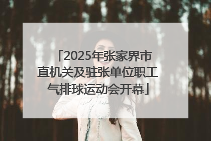 2025年张家界市直机关及驻张单位职工气排球运动会开幕