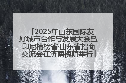 2025年山东国际友好城市合作与发展大会暨印尼楠榜省·山东省招商交流会在济南槐荫举行