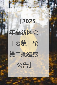 2025年高新区党工委第一轮第二批巡察公告