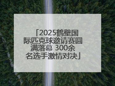 2025鹤壁国际匹克球邀请赛圆满落幕 300余名选手激情对决