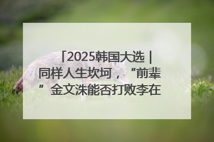 2025韩国大选｜同样人生坎坷，“前辈”金文洙能否打败李在明“逆风翻盘”？