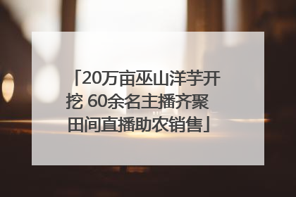 20万亩巫山洋芋开挖 60余名主播齐聚田间直播助农销售