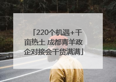 220个机遇+千亩热土 成都青羊政企对接会干货满满