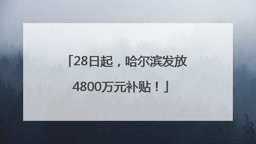 28日起，哈尔滨发放4800万元补贴！