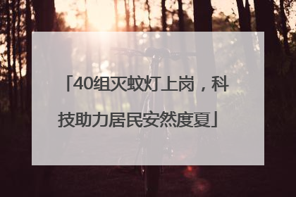 40组灭蚊灯上岗，科技助力居民安然度夏