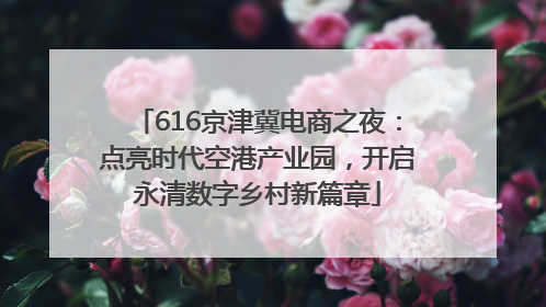 616京津冀电商之夜：点亮时代空港产业园，开启永清数字乡村新篇章
