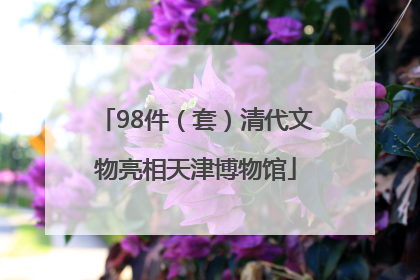 98件（套）清代文物亮相天津博物馆
