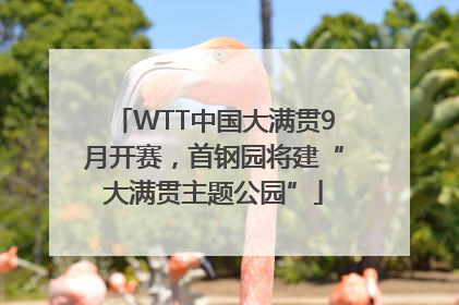 WTT中国大满贯9月开赛，首钢园将建“大满贯主题公园”
